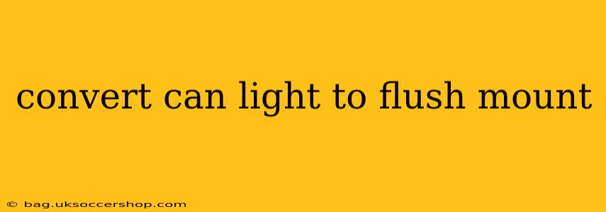 convert can light to flush mount