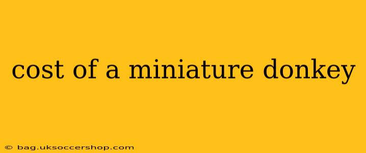 cost of a miniature donkey