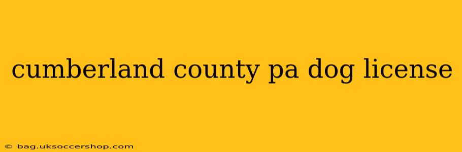 cumberland county pa dog license