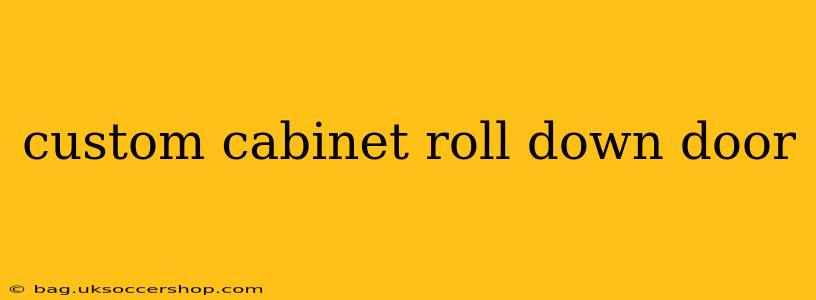 custom cabinet roll down door