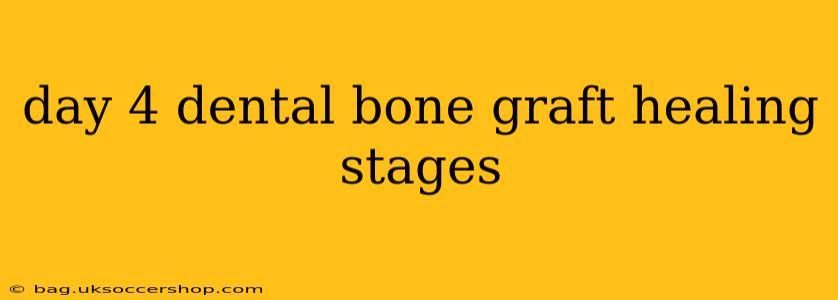 day 4 dental bone graft healing stages