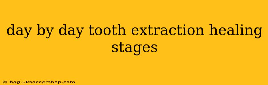 day by day tooth extraction healing stages