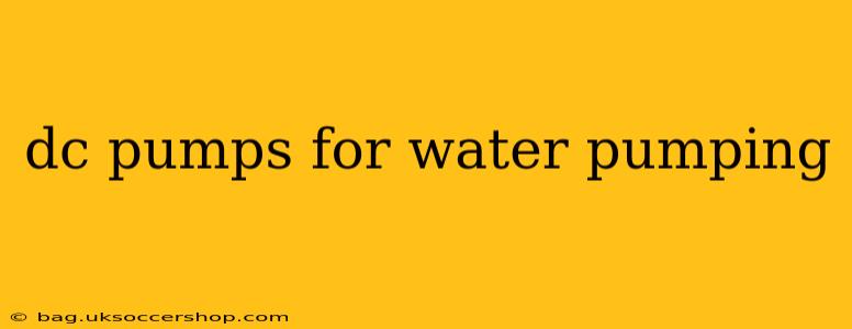 dc pumps for water pumping