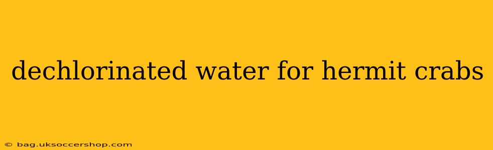 dechlorinated water for hermit crabs