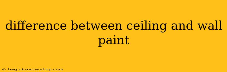 difference between ceiling and wall paint