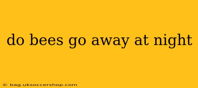 do bees go away at night