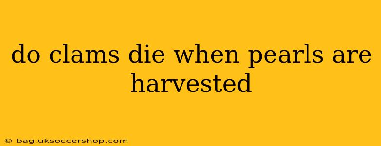 do clams die when pearls are harvested