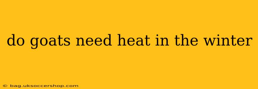 do goats need heat in the winter