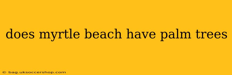 does myrtle beach have palm trees