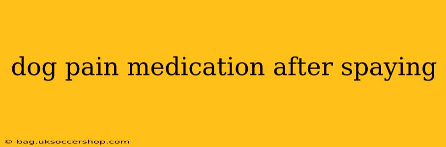 dog pain medication after spaying