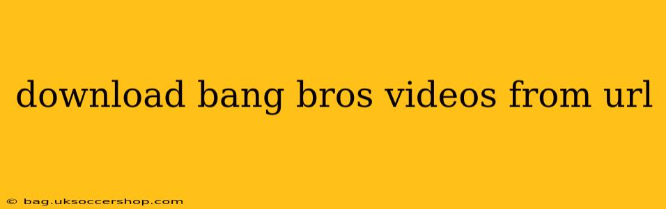 download bang bros videos from url