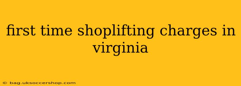 first time shoplifting charges in virginia