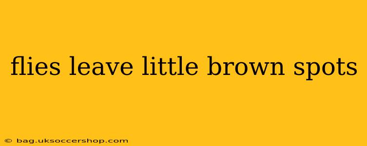 flies leave little brown spots
