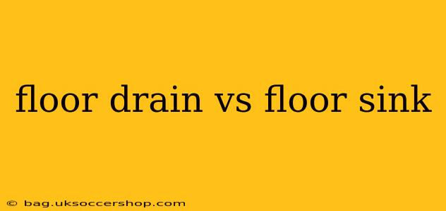 floor drain vs floor sink