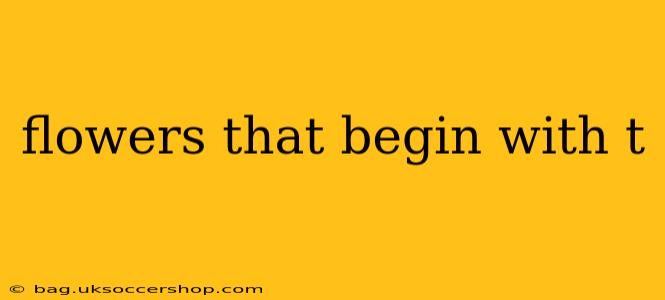 flowers that begin with t