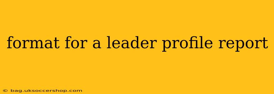 format for a leader profile report