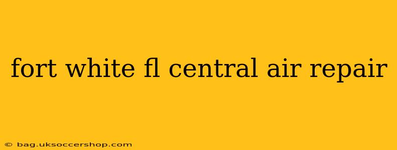 fort white fl central air repair