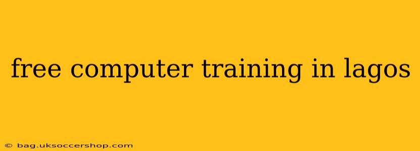 free computer training in lagos