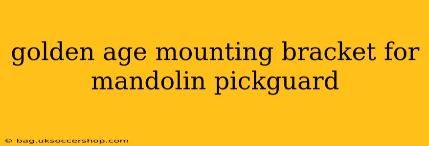 golden age mounting bracket for mandolin pickguard