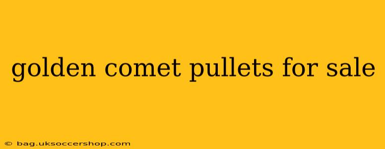 golden comet pullets for sale