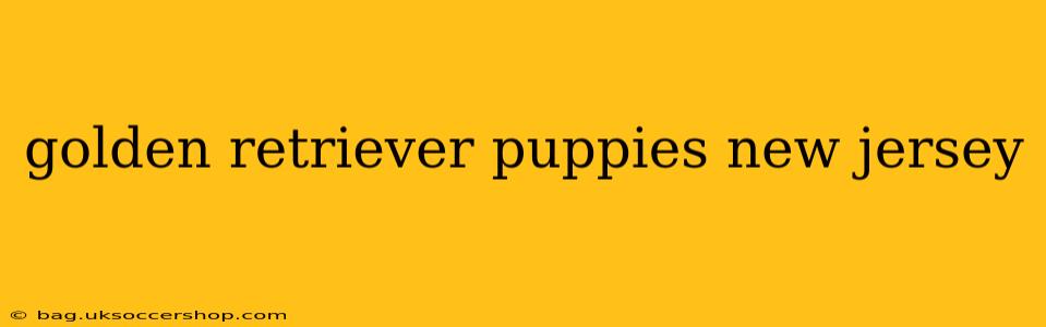 golden retriever puppies new jersey