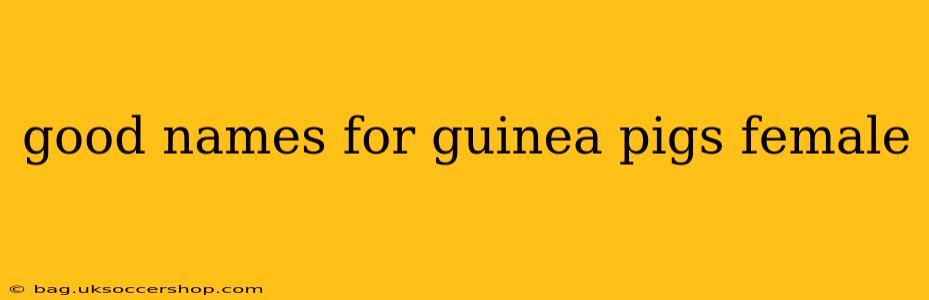 good names for guinea pigs female