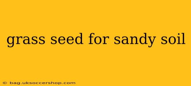 grass seed for sandy soil
