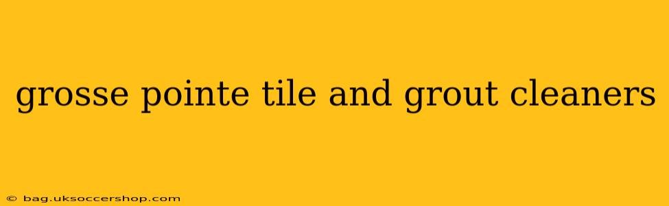 grosse pointe tile and grout cleaners