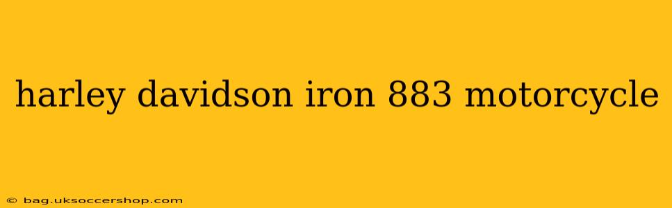 harley davidson iron 883 motorcycle