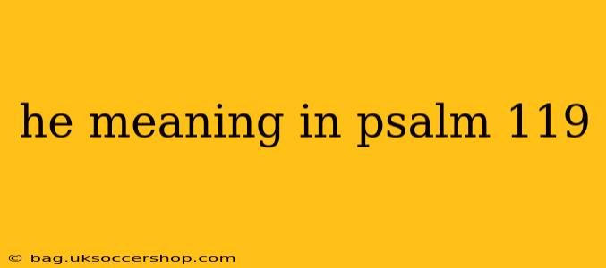 he meaning in psalm 119