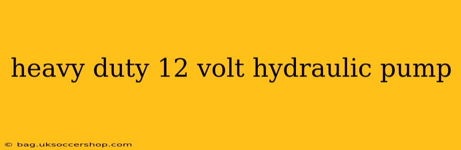 heavy duty 12 volt hydraulic pump