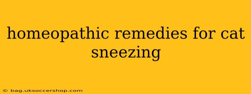 homeopathic remedies for cat sneezing
