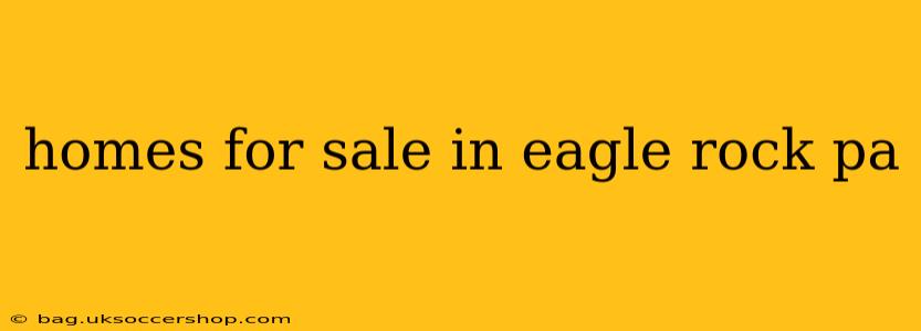homes for sale in eagle rock pa