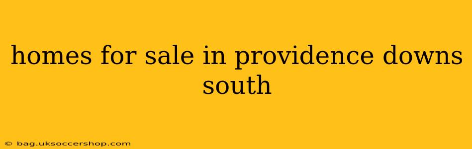 homes for sale in providence downs south