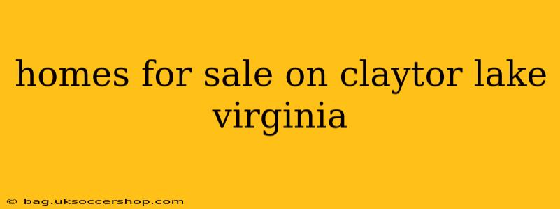homes for sale on claytor lake virginia