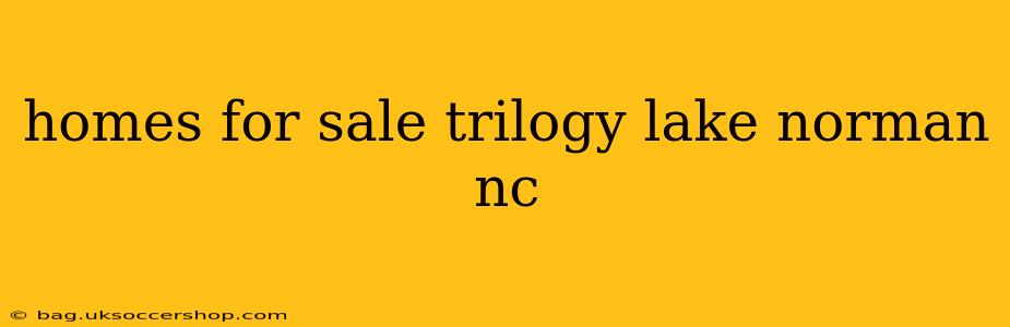 homes for sale trilogy lake norman nc