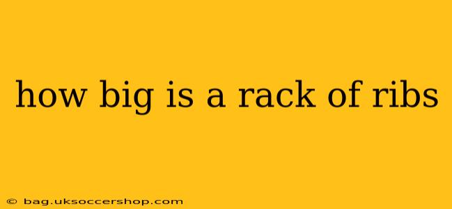 how big is a rack of ribs