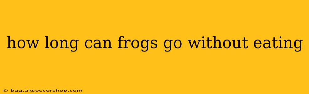 how long can frogs go without eating