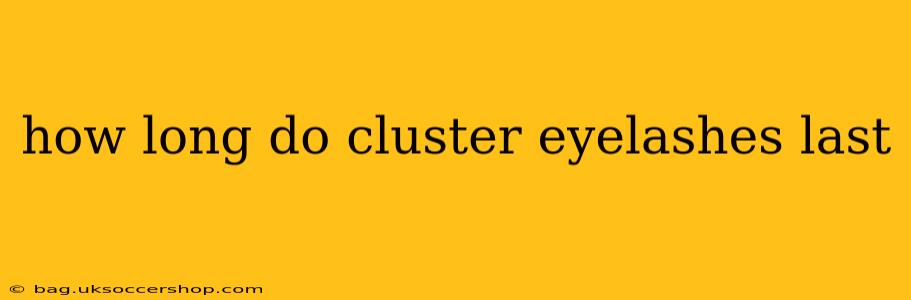 how long do cluster eyelashes last