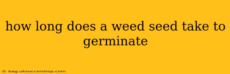 how long does a weed seed take to germinate