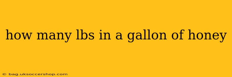 how many lbs in a gallon of honey
