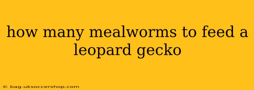 how many mealworms to feed a leopard gecko