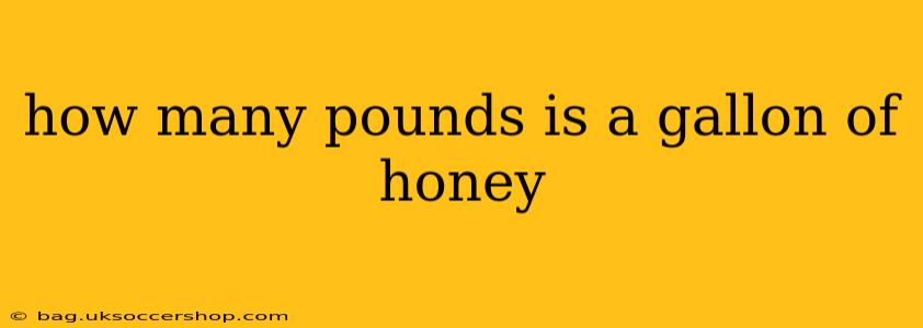 how many pounds is a gallon of honey