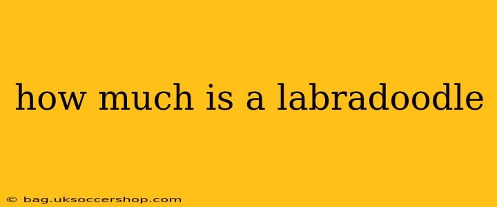how much is a labradoodle