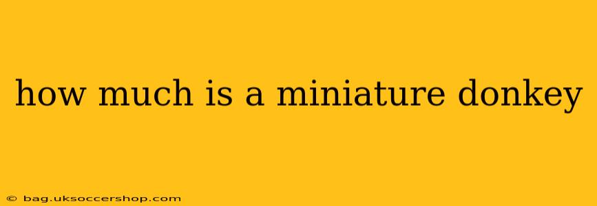 how much is a miniature donkey