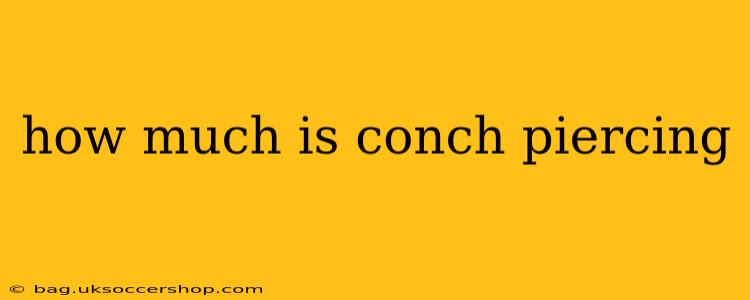 how much is conch piercing