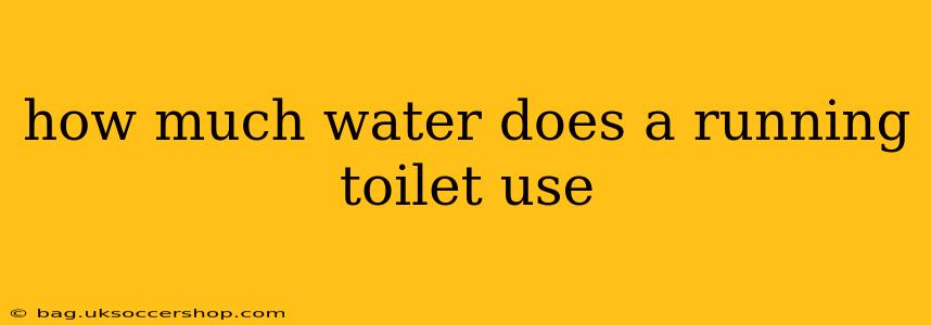 how much water does a running toilet use