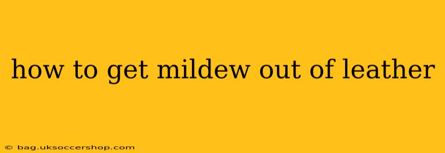 how to get mildew out of leather