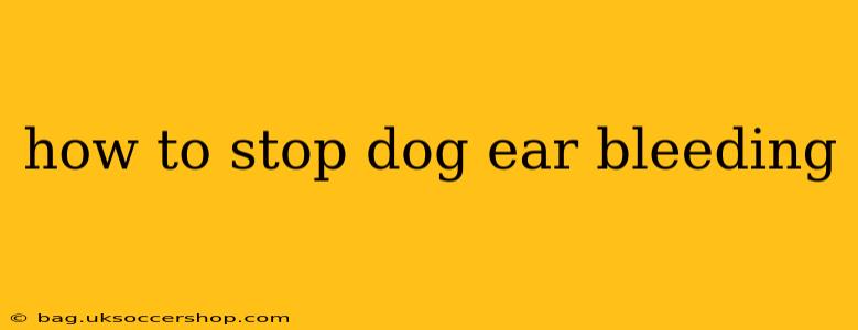 how to stop dog ear bleeding
