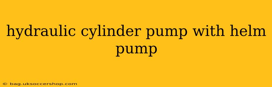 hydraulic cylinder pump with helm pump
